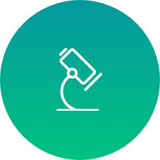栏目用于追新