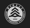 开云手机官方网站