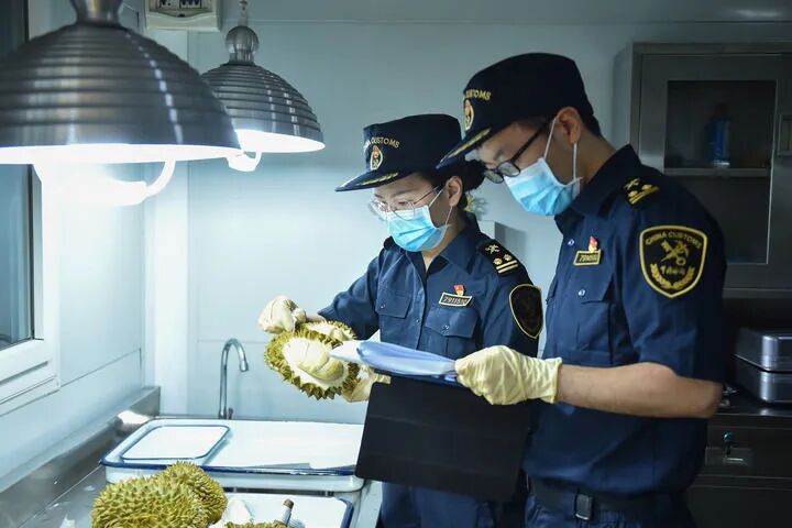 各地各部门以总体开云手机官方网站限时
