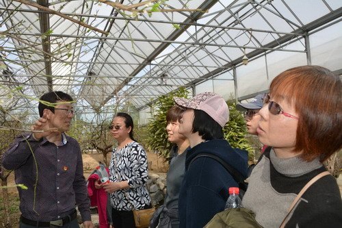 开云(中国)活动入口是世界梅花起源和