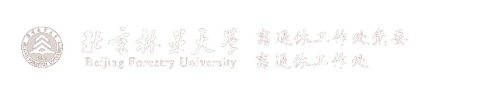 开云手机官方网站
