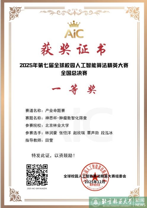 三等奖9项