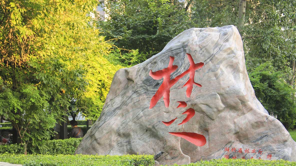 北京市海淀区清华东路35号开云(中国