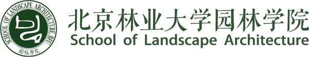 开云手机官方网站