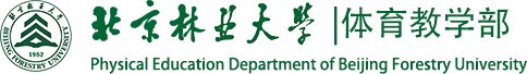 开云手机官方网站