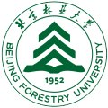 开云手机官方网站