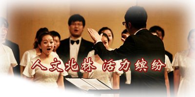 栏目用于追新