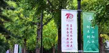 可先确认当前栏目名称
