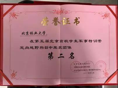 获得“优秀组织奖”
