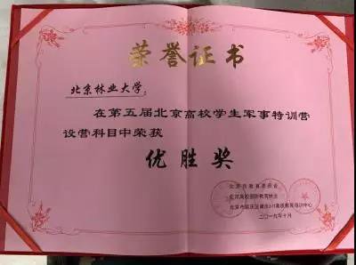 陆娜娜和张学友两名同学被评为“优秀营