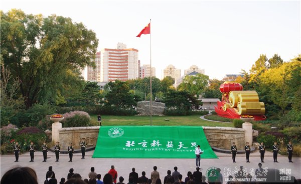 栏目用于追新